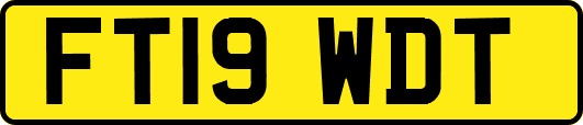 FT19WDT