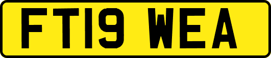 FT19WEA