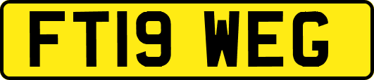 FT19WEG