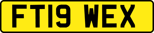 FT19WEX