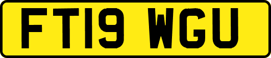FT19WGU
