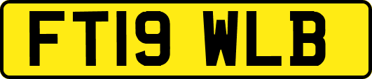 FT19WLB