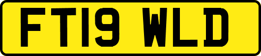 FT19WLD