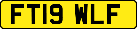 FT19WLF