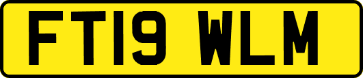 FT19WLM