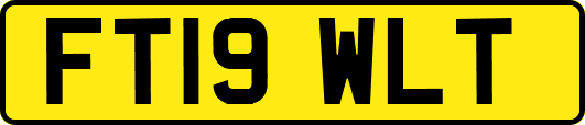 FT19WLT