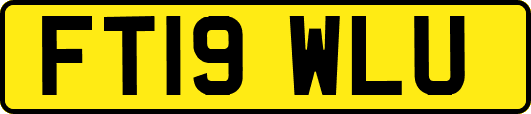 FT19WLU