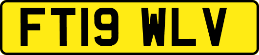 FT19WLV