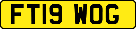 FT19WOG