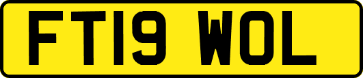 FT19WOL