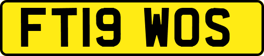 FT19WOS