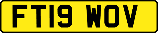FT19WOV