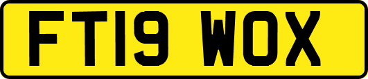 FT19WOX