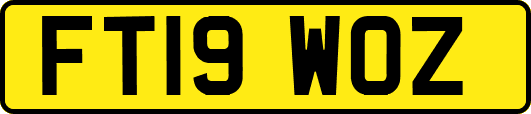 FT19WOZ
