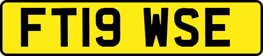 FT19WSE