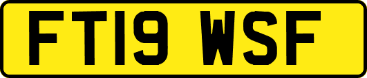 FT19WSF