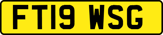 FT19WSG