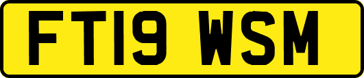FT19WSM