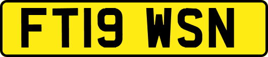 FT19WSN