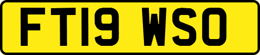 FT19WSO