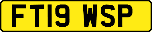 FT19WSP