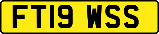 FT19WSS
