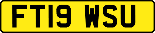 FT19WSU