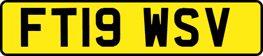 FT19WSV