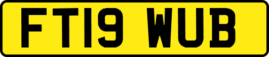 FT19WUB