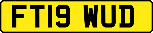 FT19WUD