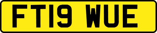 FT19WUE