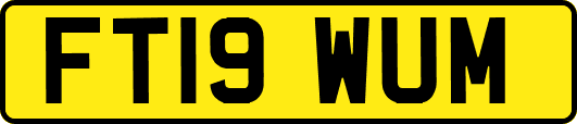 FT19WUM