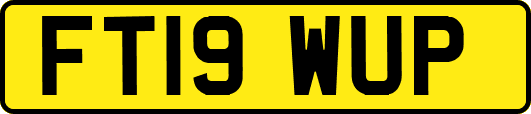 FT19WUP