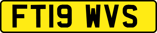 FT19WVS