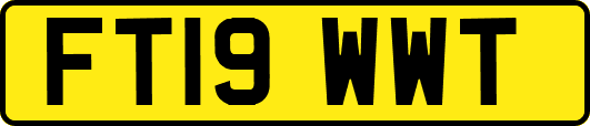 FT19WWT