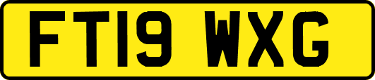 FT19WXG