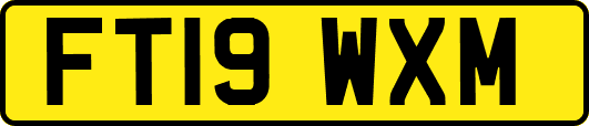 FT19WXM
