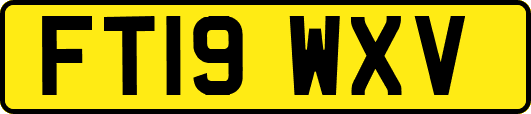 FT19WXV