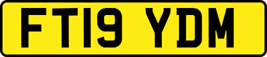 FT19YDM