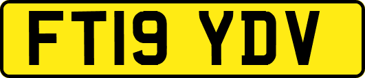 FT19YDV