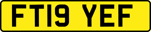 FT19YEF