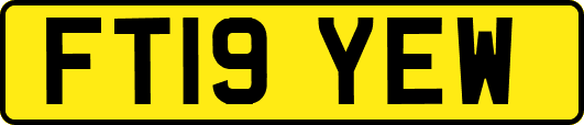 FT19YEW