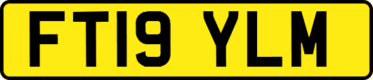 FT19YLM