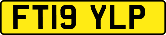 FT19YLP