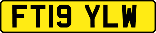FT19YLW