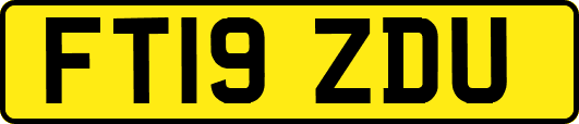 FT19ZDU