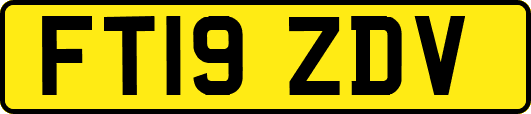 FT19ZDV