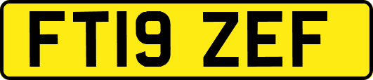 FT19ZEF