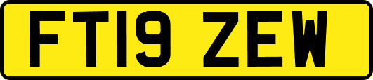 FT19ZEW