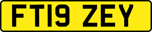 FT19ZEY